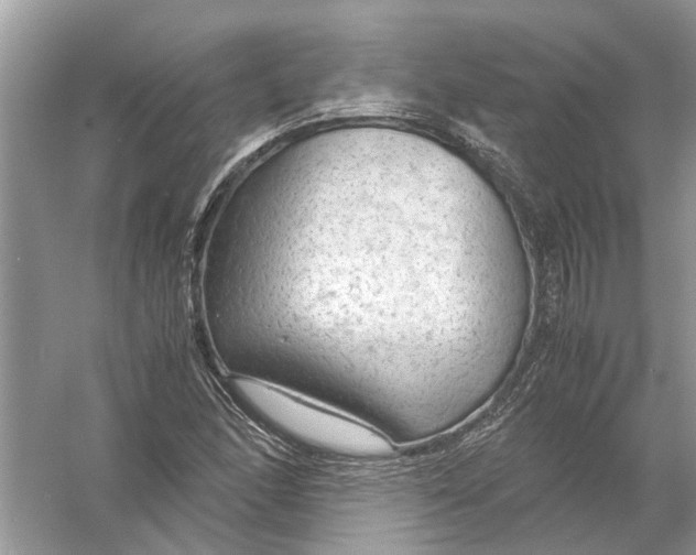 X0000056001166200509162310