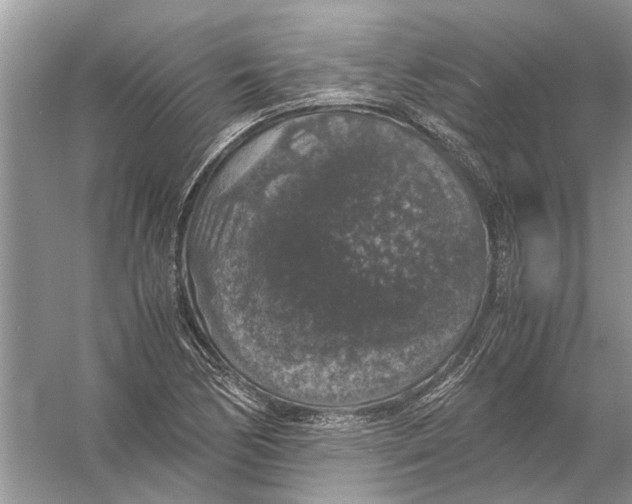 X0000056001170200509162310