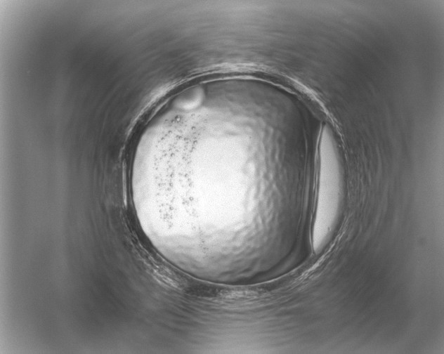 X0000056001171200509162310