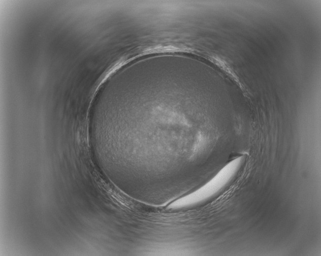 X0000056001173200509162310