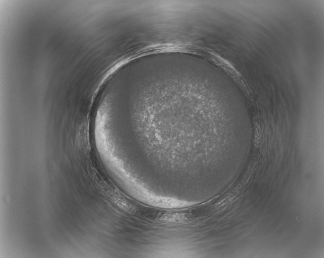 X0000056001174200509162310