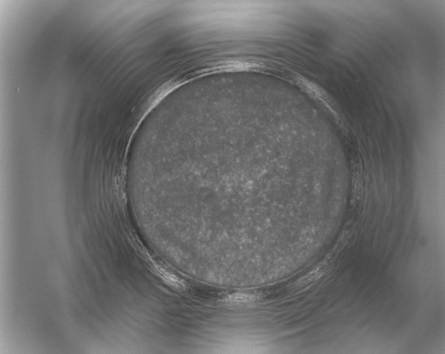 X0000056001178200509162310