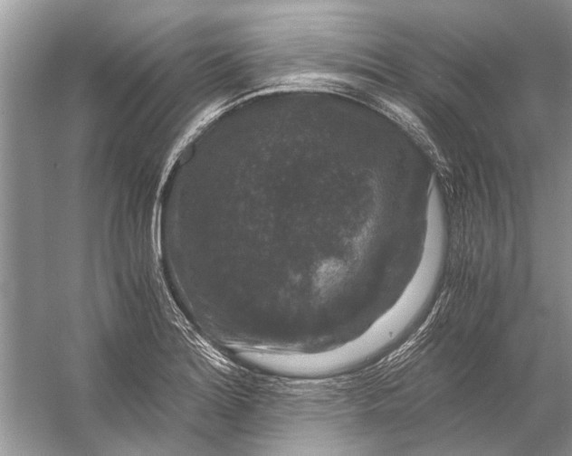 X0000056001180200509162310