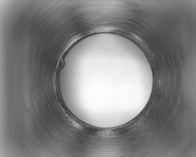 X0000056001186200509162310