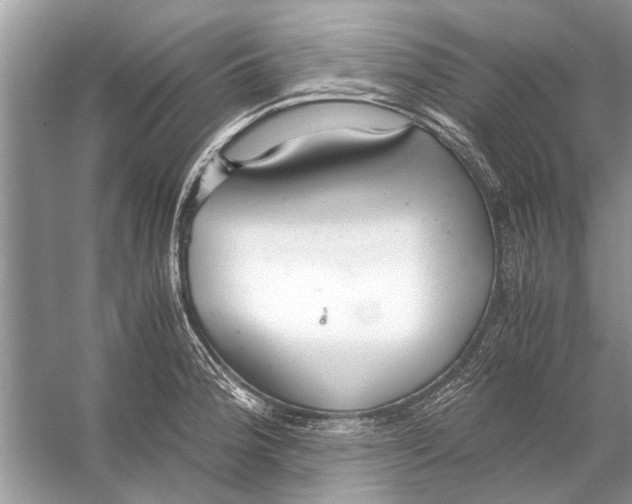 X0000056001188200509162310