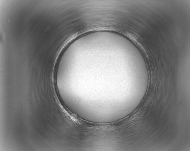 X0000056001189200509162310