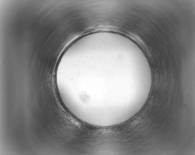 X0000056001190200509162310