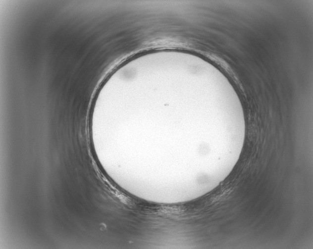 X0000056001191200509162309