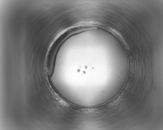 X0000056001192200509162309