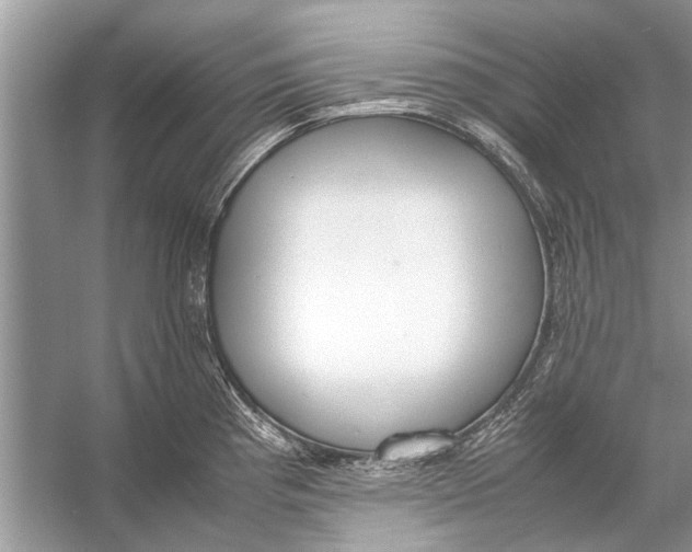 X0000056001193200509162309