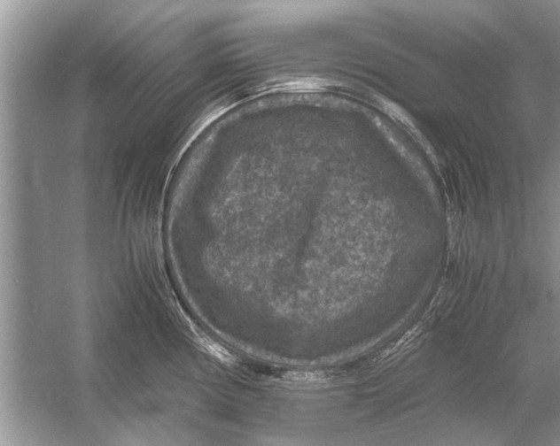 X0000056001194200509162309