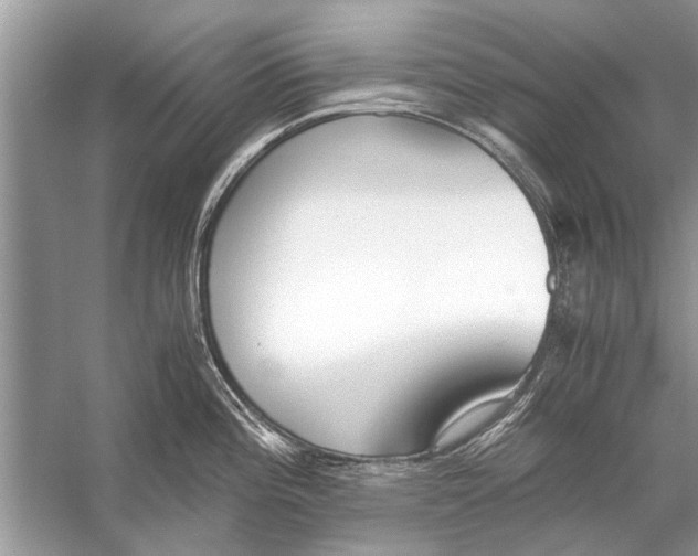 X0000056001196200509162309