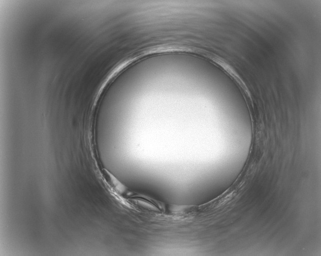 X0000056001197200509162309