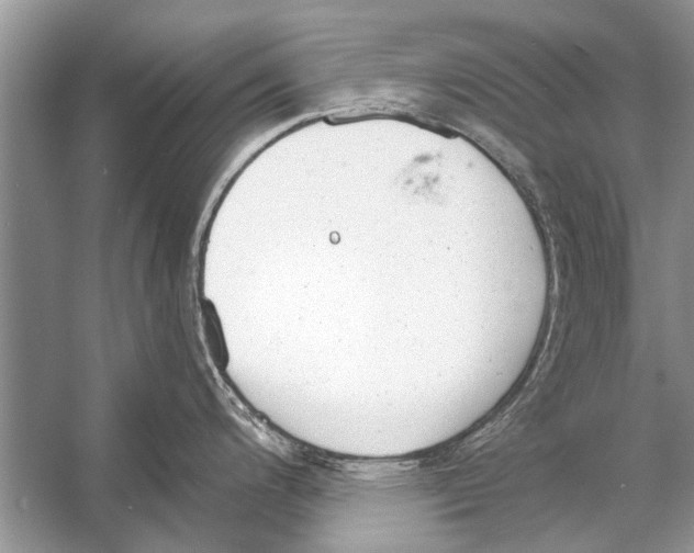 X0000056001200200509162309