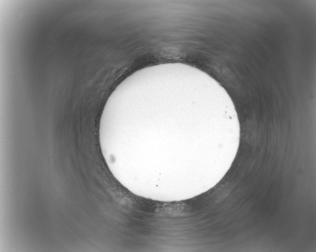 X0000056001201200509162309