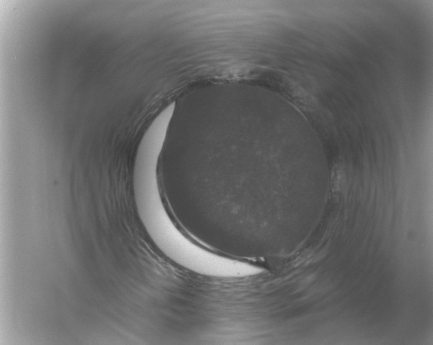 X0000056001202200509162309