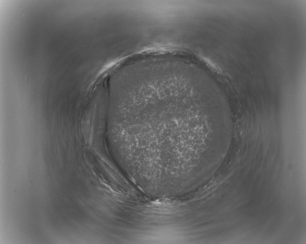 X0000056001206200509162309