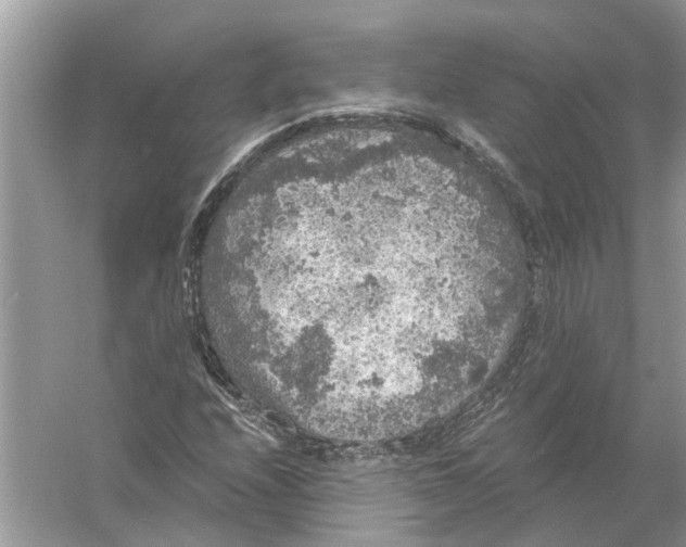 X0000056001208200509162309