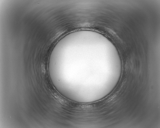 X0000056001209200509162309