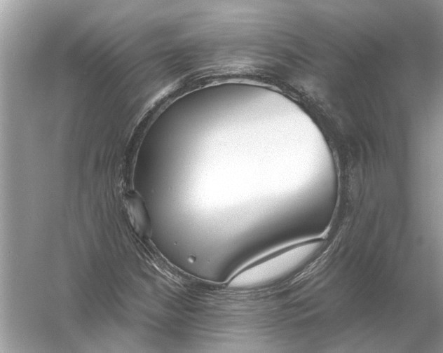 X0000056001210200509162309