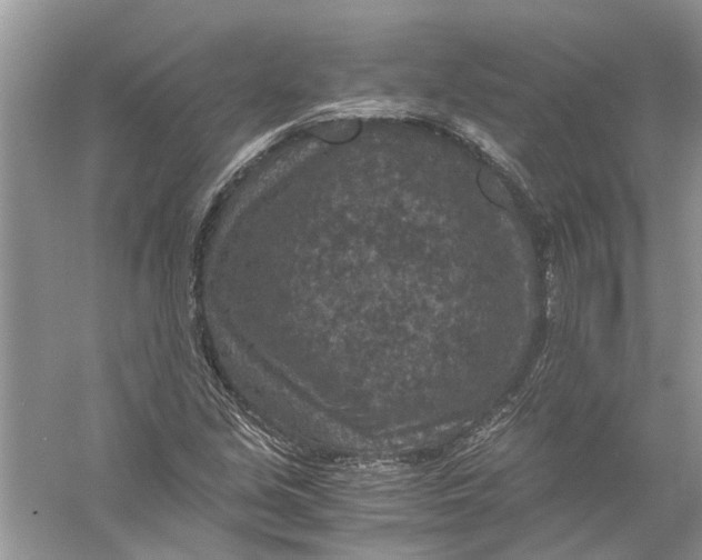 X0000056001213200509162309