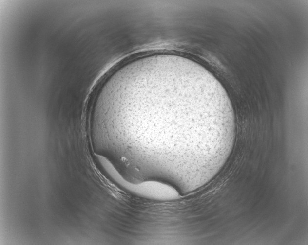 X0000056001216200509162309