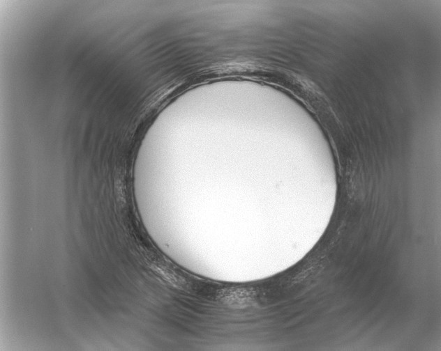 X0000056001217200509162309