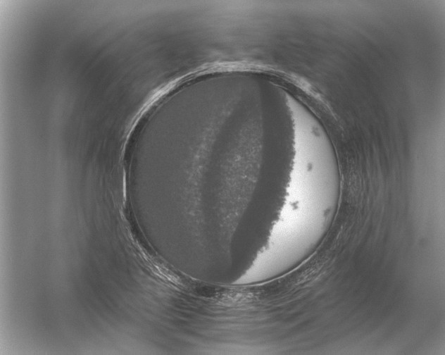 X0000056001221200509162309