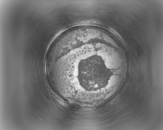 X0000056001224200509162309