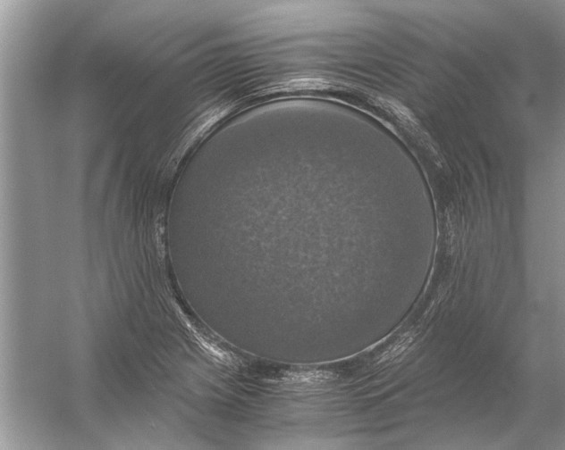 X0000056001225200509162309