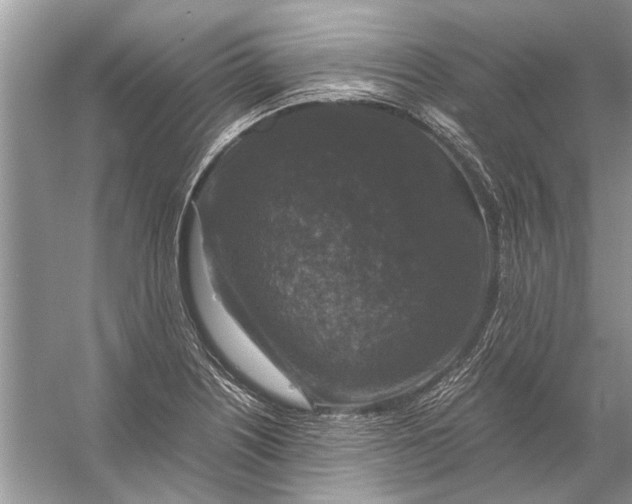 X0000056001226200509162309