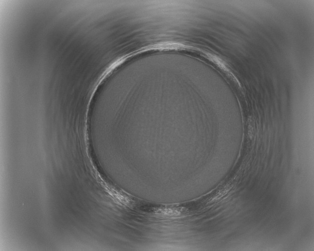 X0000056001229200509162309