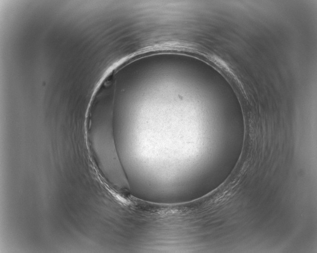 X0000056001230200509162309