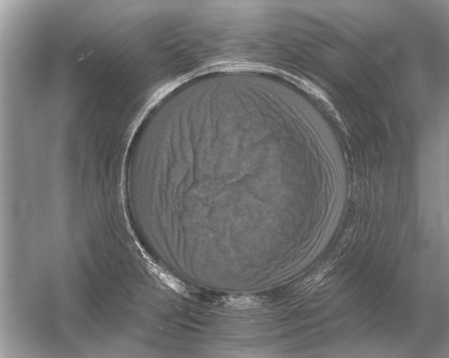 X0000056001231200509162309