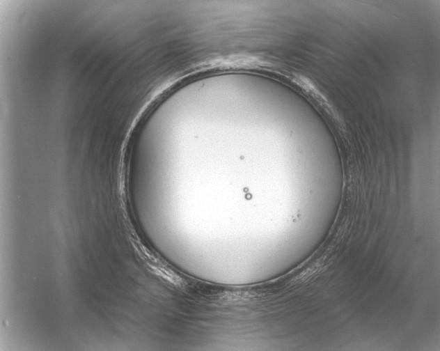 X0000056001232200509162309