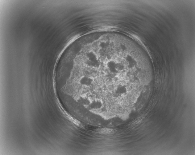 X0000056001235200509162309