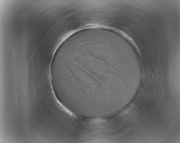 X0000056001239200509162309