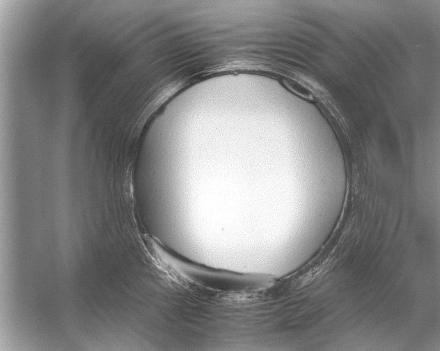 X0000056001241200509162309