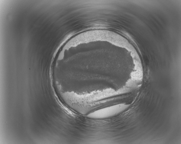 X0000056001243200509162309