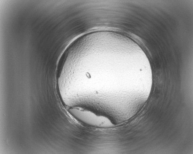 X0000056001244200509162309