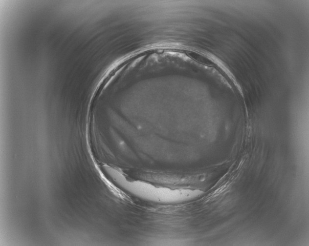 X0000056001245200509162309