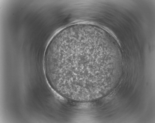 X0000056001247200509162309