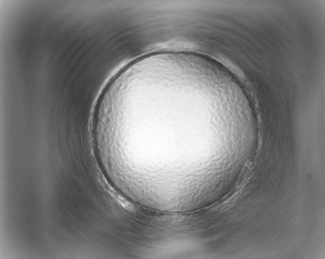 X0000056001248200509162309