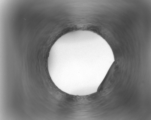 X0000056001249200509162309