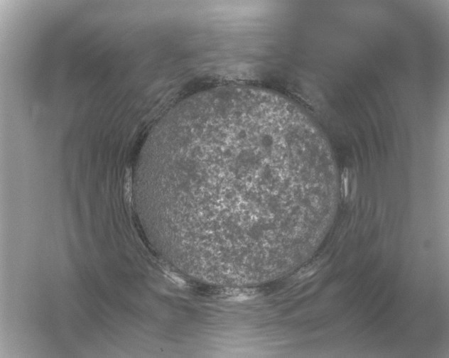 X0000056001251200509162308