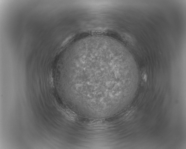 X0000056001252200509162308