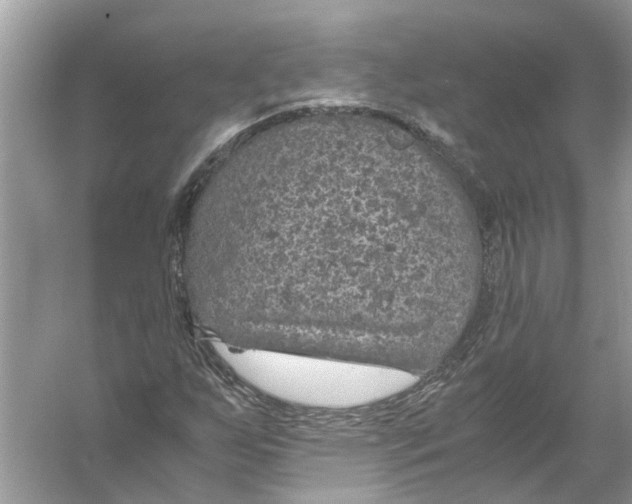 X0000056001255200509162308