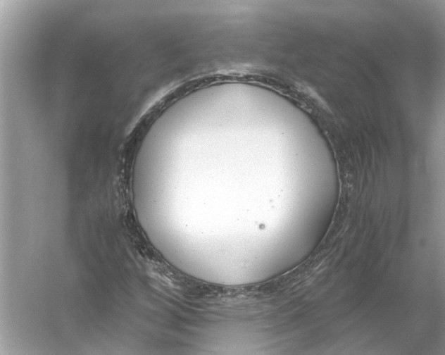 X0000056001256200509162308