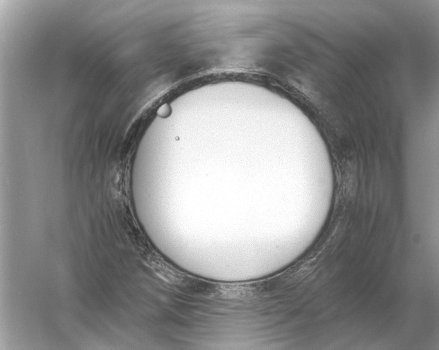 X0000056001258200509162308