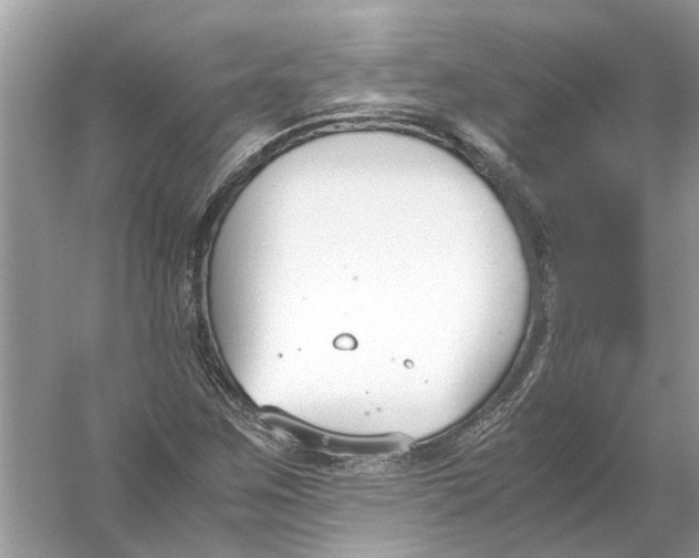 X0000056001259200509162308